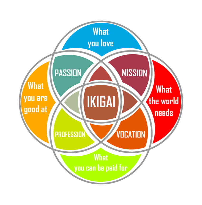 How to Find the Perfect Business Idea For Beginner in 2025 - Ikigai Concept